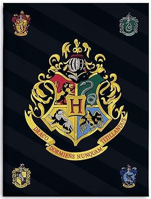 BERONAGE Große Harry Potter Hogwarts Wohndecke 150 x 200 cm super weiche Flanell-Decke Kuscheldecke Sofadecke Fleece-Decke Gryffindor Hufflepuff Ravenclaw Slytherin Ron Hermine Pass. zur Bettwäsche