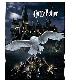 kuschelige Flauschdecke Fleecedecke Harry Potter · 150 x 200 cm · Hogwarts-Schule · große Decke Tagesdecke Kuscheldecke · Eule (schwarz)